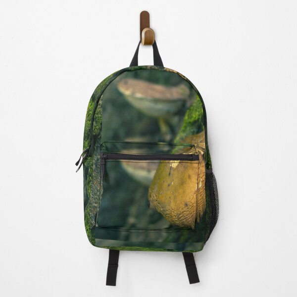 Item preview, Mushroom and Moss Photography designed and sold by Courtney Matulewicz.