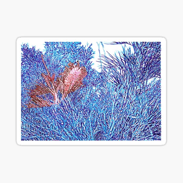 Red and Blue Grevillea Sticker