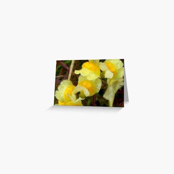 Yellow Rain Greeting Card
