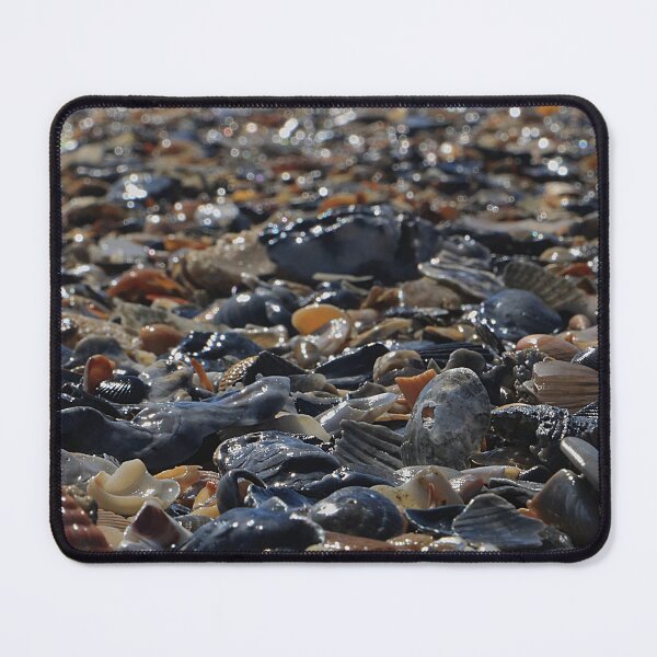 Item preview, SeaShells designed and sold by MortonDesigns.