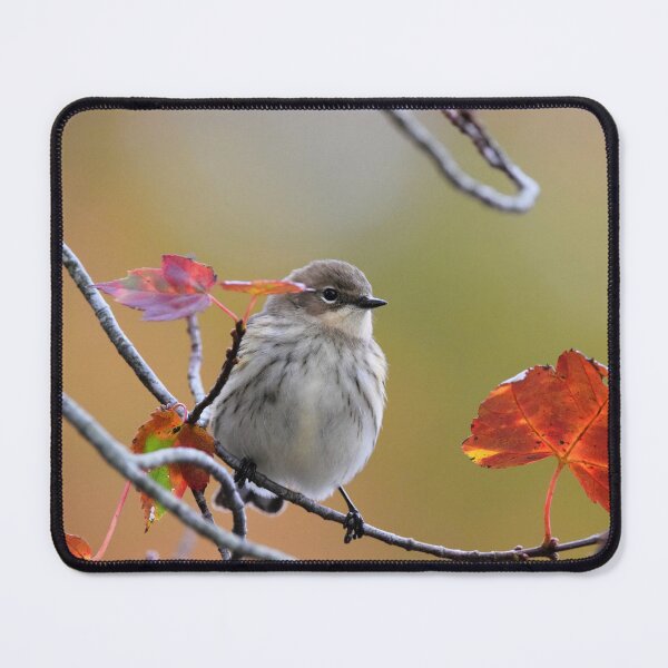 Item preview, Sweet Tweeter designed and sold by DonnaM.