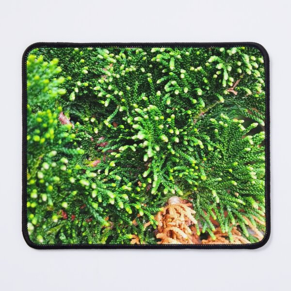 Item preview, Green pine designed and sold by semenkova.
