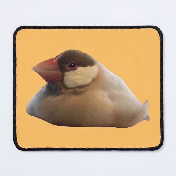Item preview, fat bird sitting designed and sold by tttatia.