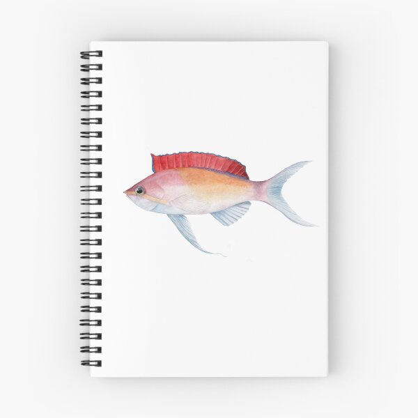 Artikelvorschau, Redfin Anthias entworfen und verkauft von Glowfactor.