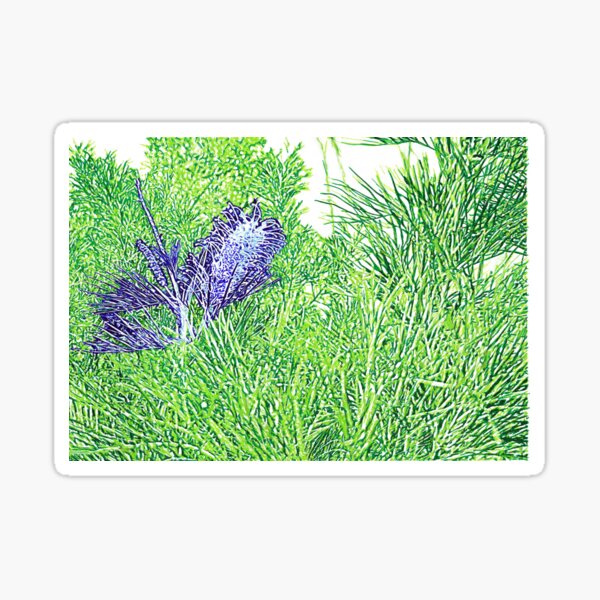 Green and Blue Grevillea Sticker