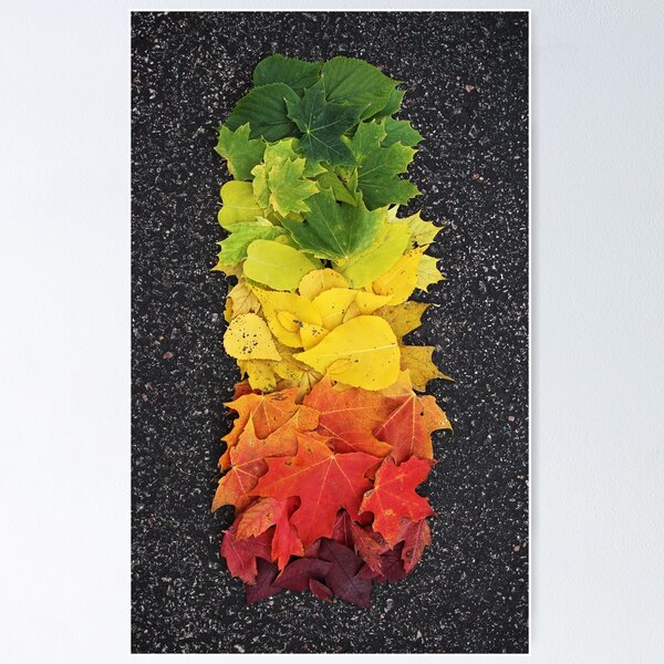 Item preview, Fall Leaves designed and sold by Jamison Hogan.
