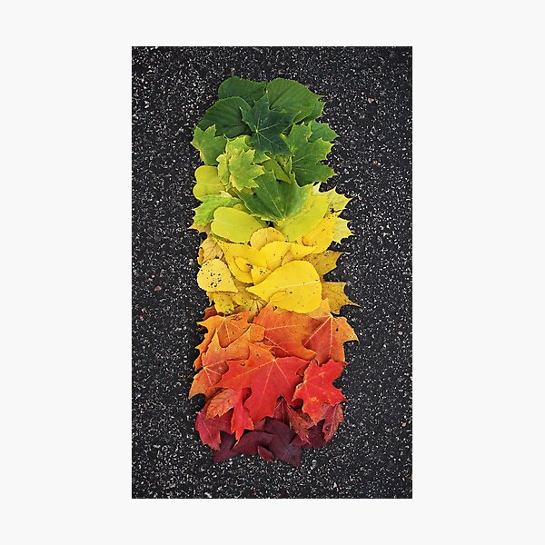 Item preview, Hojas de otoño designed and sold by Jamison Hogan.