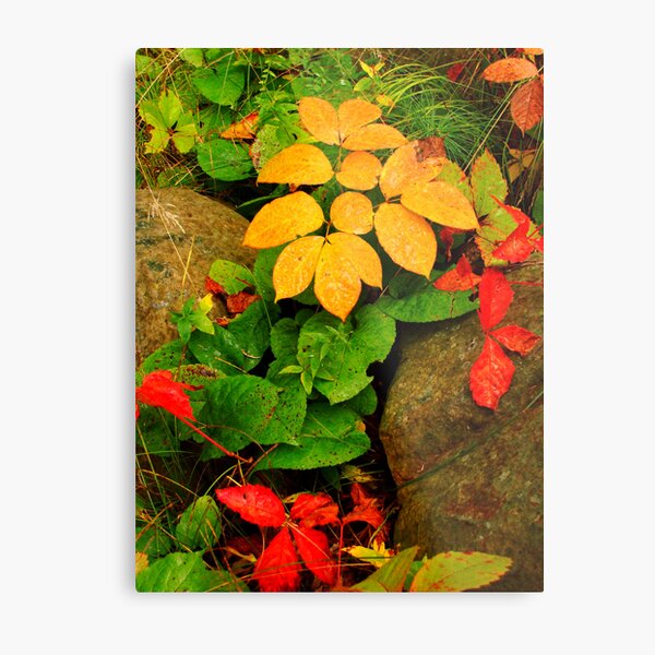Essence of Life Metal Print