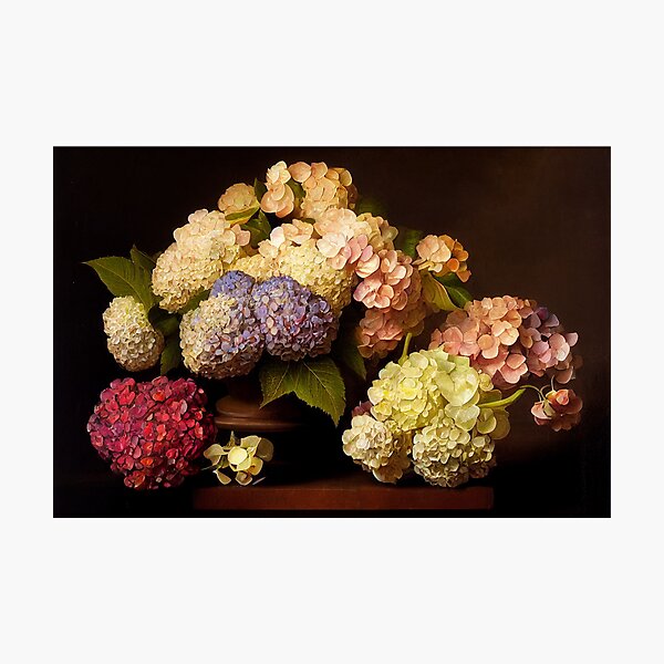 Item preview, Hydrangeas  designed and sold by faemcnally.
