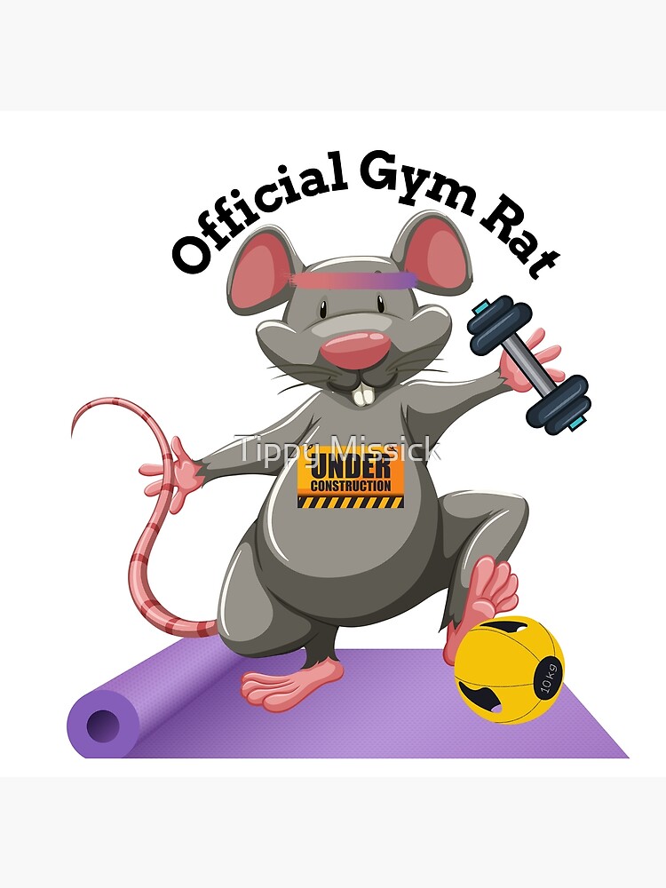 Understanding Gym Rat 