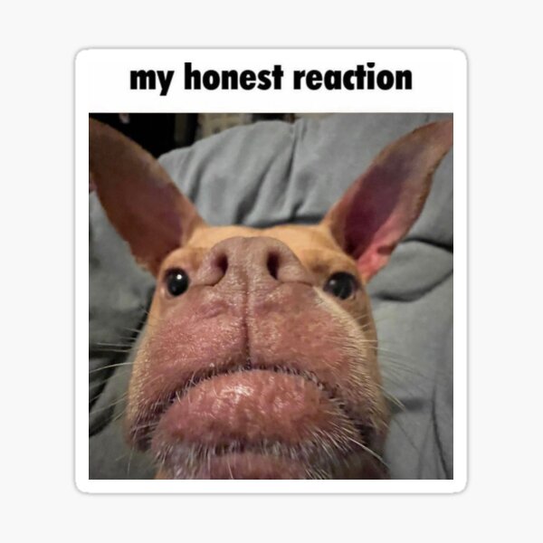 My Honest Reaction My Honest Reaction Meme Sticker - My honest