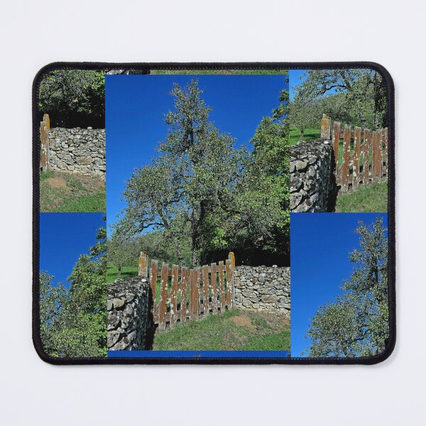 Item preview, r459 / Finition 2022, " la Vieille barriére & le grand Sorcier " Arbre Protecteur & Les Visages sont là ! " - Okaio Créations - Olavia-Olao designed and sold by o.okaïo.