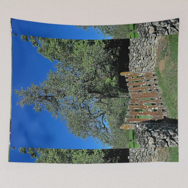 Item preview, r459 / Finition 2022, " la Vieille barriére & le grand Sorcier " Arbre Protecteur & Les Visages sont là ! " - Okaio Créations - Olavia-Olao designed and sold by o.okaïo.