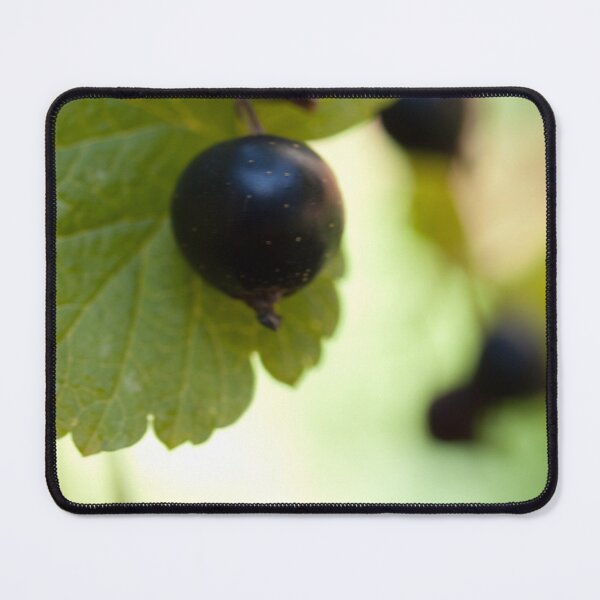 Item preview, A dotted berry designed and sold by Gabriele Maurus.