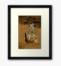 Theres just not enough hours in the day Framed Print
