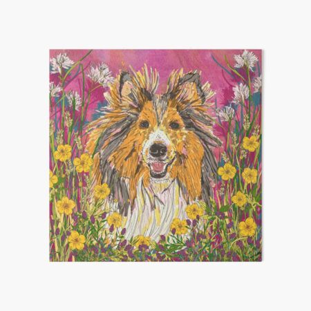Sheltie Art Board Print