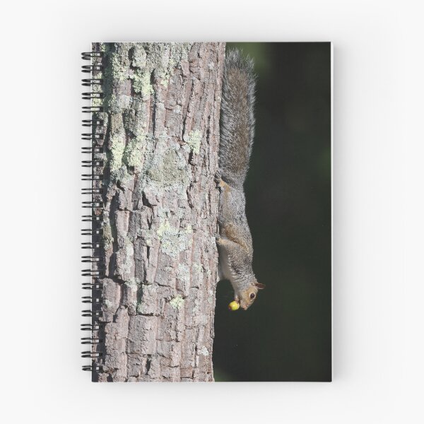 Item preview, Tree Squirrel with a Snack designed and sold by LisaNaturePhoto.