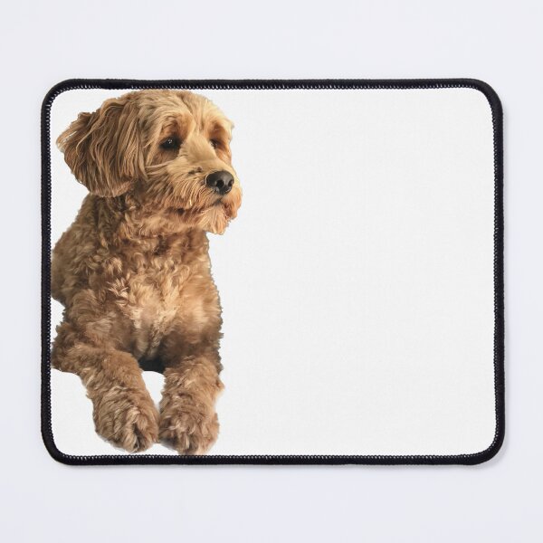 Item preview, Labradoodle Image designed and sold by katiebca2.