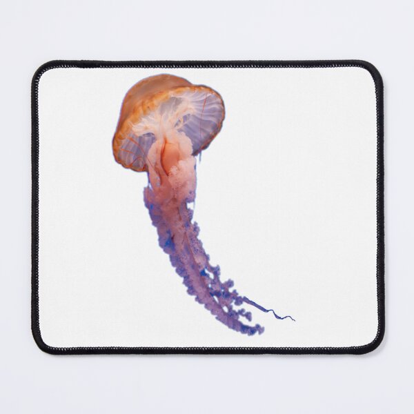 Item preview, Jellyfish designed and sold by Typical-Turd.