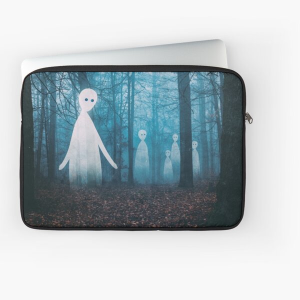 Laptop Sleeve