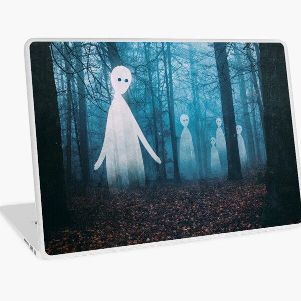 Macbook Air 13" (2015)