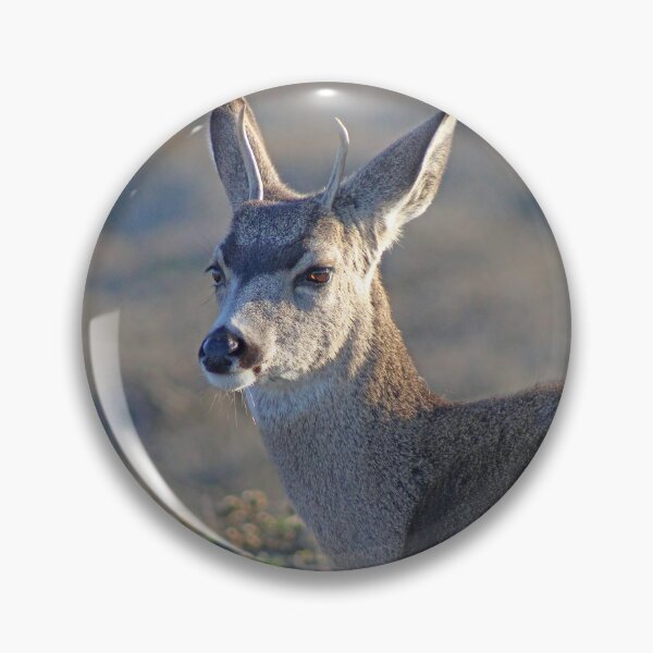Item preview, Deer at Montana de Oro designed and sold by Michael Rock Art.