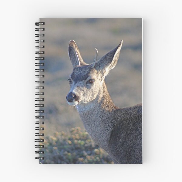 Item preview, Deer at Montana de Oro designed and sold by Michael Rock Art.