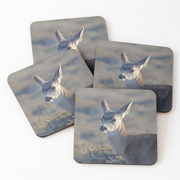 Item preview, Deer at Montana de Oro designed and sold by Michael Rock Art.