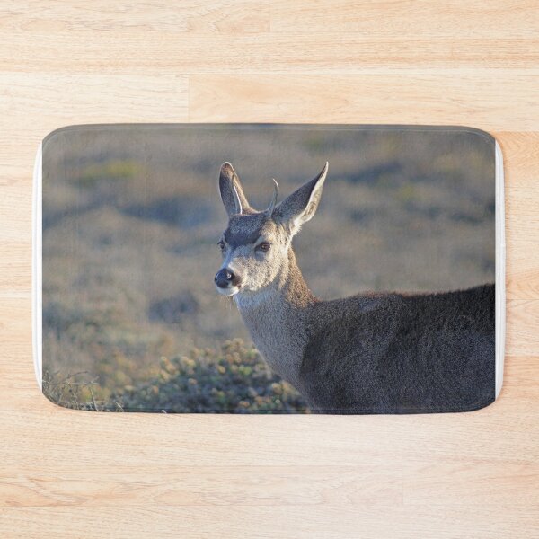 Item preview, Deer at Montana de Oro designed and sold by Michael Rock Art.