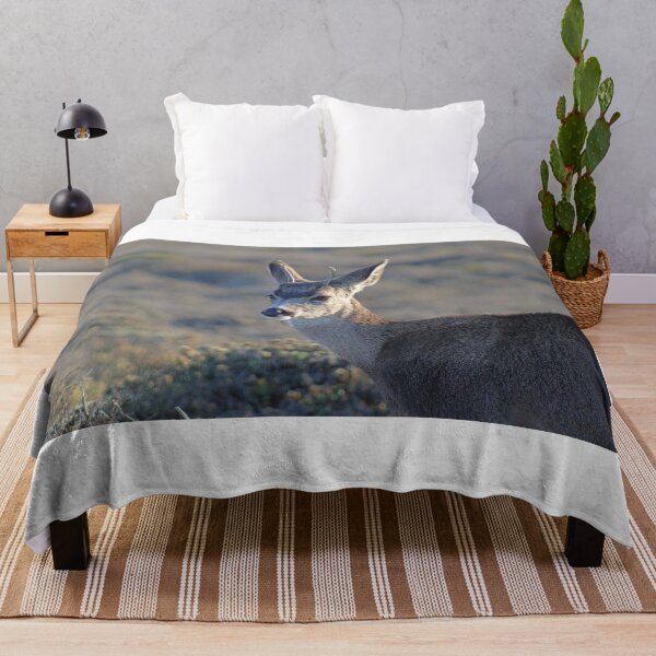 Item preview, Deer at Montana de Oro designed and sold by Michael Rock Art.