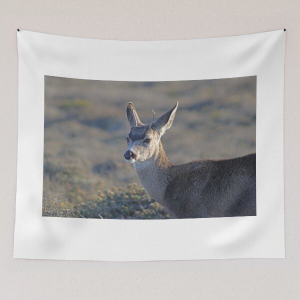 Item preview, Deer at Montana de Oro designed and sold by Michael Rock Art.