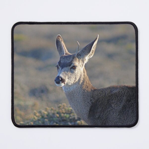 Item preview, Deer at Montana de Oro designed and sold by Michael Rock Art.