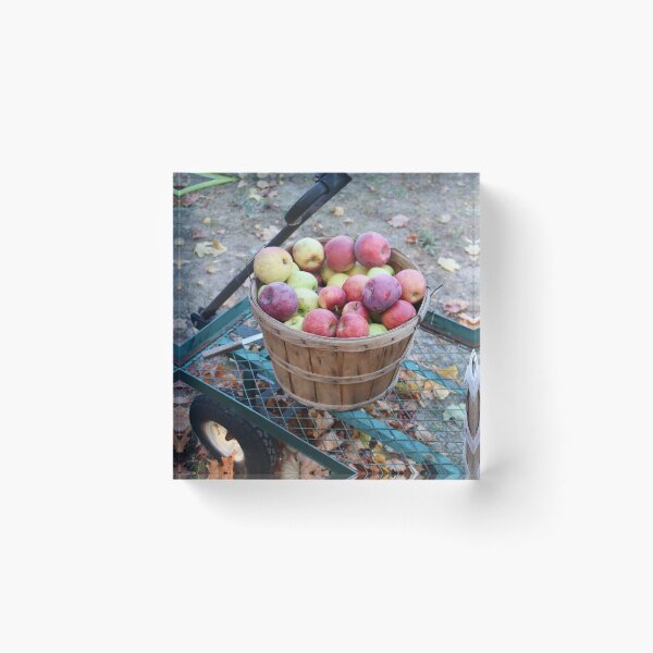 Item preview, Apple Harvest designed and sold by CJGrimes.