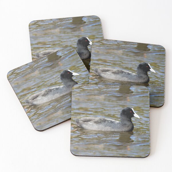 Item preview, Eurasian Coot or Australian Coot designed and sold by Dragonsfield.