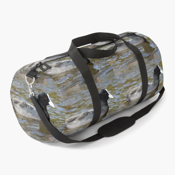Item preview, Eurasian Coot or Australian Coot designed and sold by Dragonsfield.