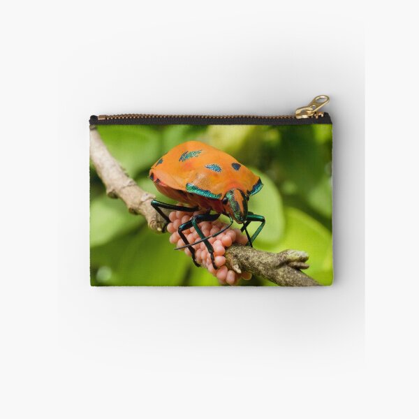 Item preview, Stink Bug Eggs 00001 designed and sold by kevin Chippindall.