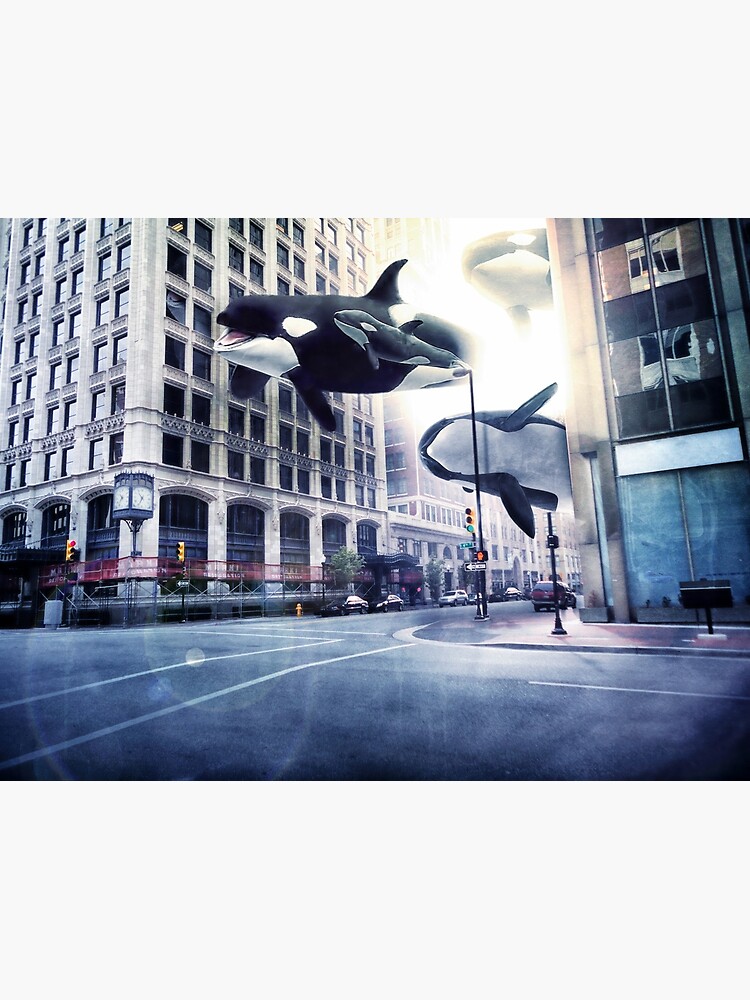 City of whales by hotamr