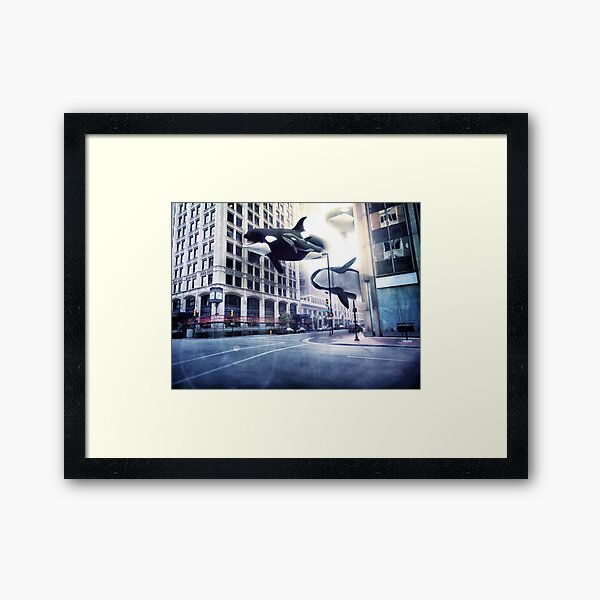Framed Print