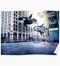 City of whales Poster