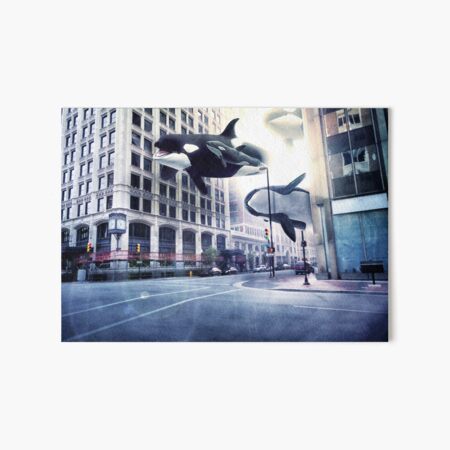 City of whales Art Board Print