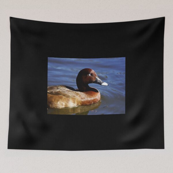 Item preview, Hardhead duck, Australian White-eyed duck designed and sold by Dragonsfield.