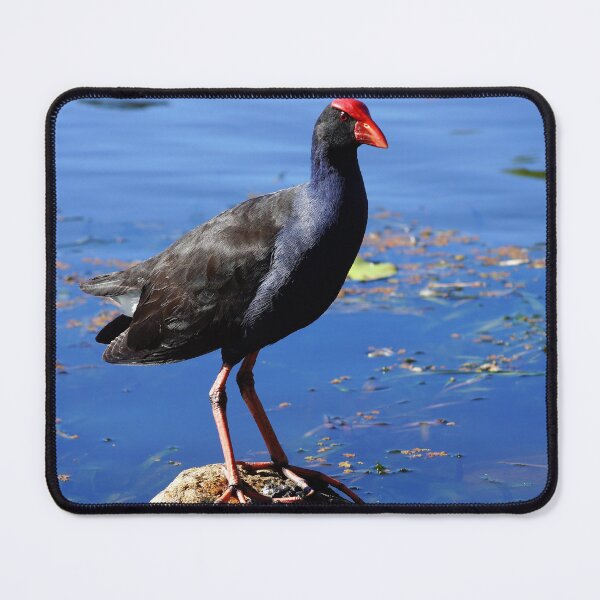 Item preview, Purple Swamp Hen designed and sold by Dragonsfield.