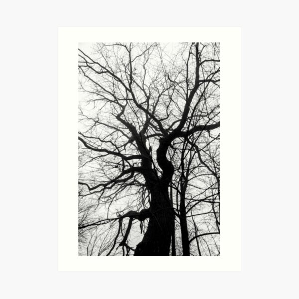 tree Art Print