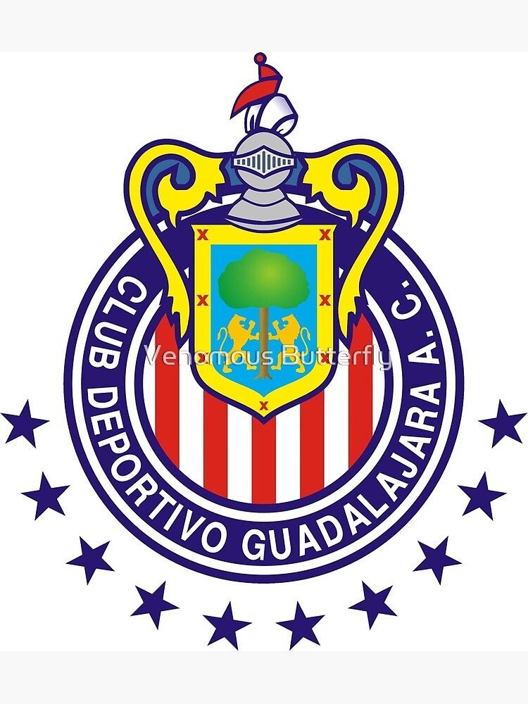 Tarjetas de felicitación «Club deportivo Guadalajara» de lavirgen |  Redbubble