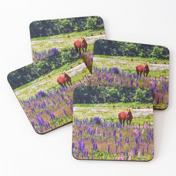 Item preview, Dreaming of Lupines in June, Wild Lupines Near Acadia National Park designed and sold by itsashorething.