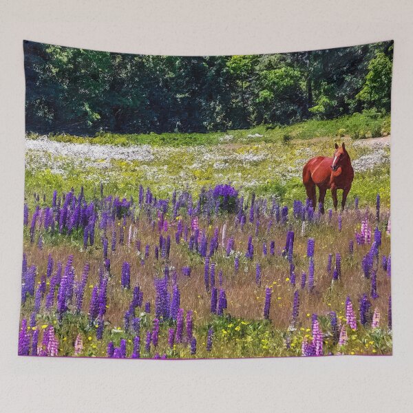 Item preview, Dreaming of Lupines in June, Wild Lupines Near Acadia National Park designed and sold by itsashorething.