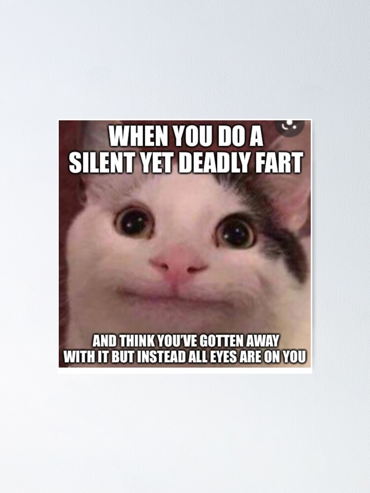 cat meme face | funny cat | Poster