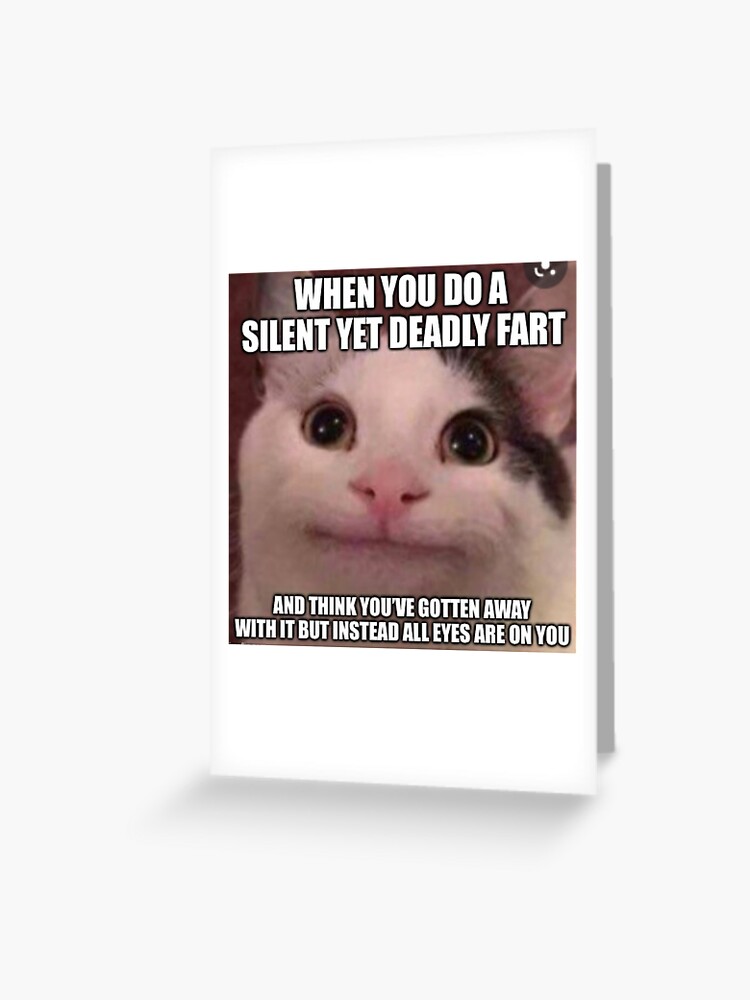 Polite Cat Meme Featuring Cute Beluga Cat A Funny Cat Meme ...