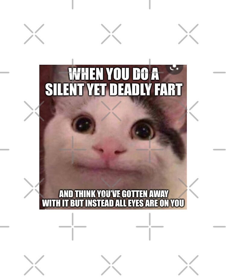 Beluga cat memes playlist for if I am bored 