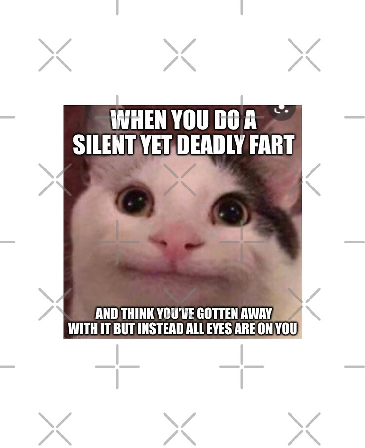 Beluga(polite cat meme)